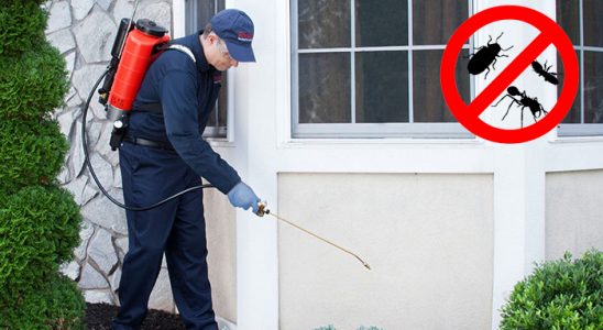 Tortum Gümüşkurt İlaçlama böcek ilaçlama ve haşere kontrolü — ilaclama-tr.com